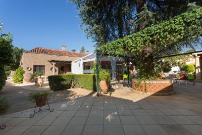 هتل ریاد اروزافا