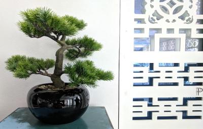 سینو ایمپریال دیزاین هتل