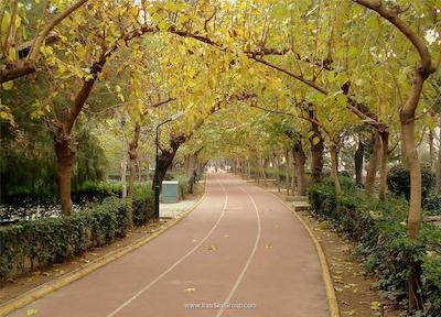 بلانکا هتل ازمیر