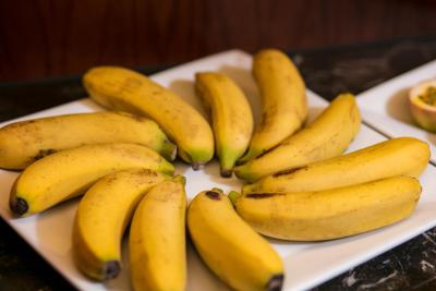 ویشن پرمیر هتل اند اسپا