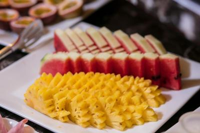 ویشن پرمیر هتل اند اسپا