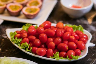 ویشن پرمیر هتل اند اسپا