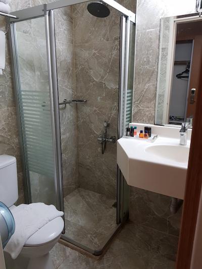 الیت باساران هتل