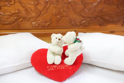 هانگ ترینه هتل