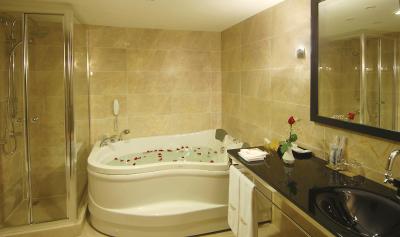 ارسین هتل توپکاپی