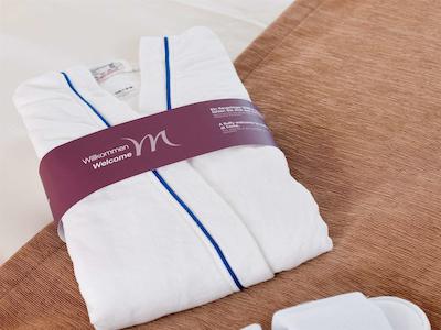 مرکور هتل رجنسبورگ