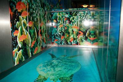 پنتاهتل ویسبادن