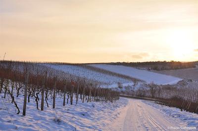 درینت هتل آلزی ورمز