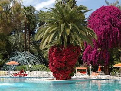 از ساادی ماراکچ ریزرت