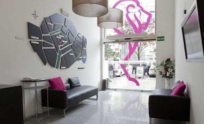 هستال ونشیا