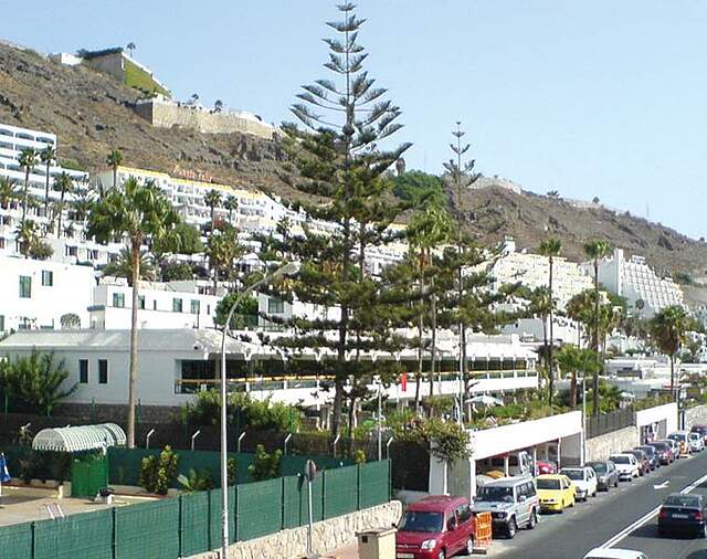فلریدا