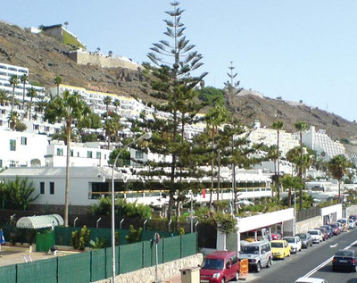 فلریدا