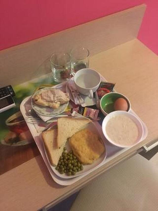 هتل المنت