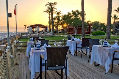 توی فان اند سان کلاب بلک