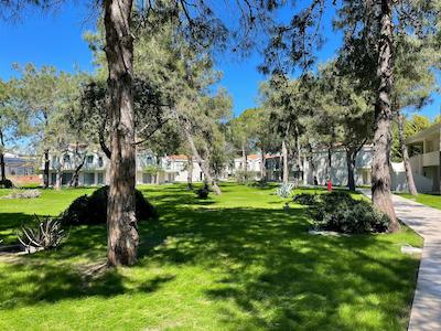 سسارز تمپل د لوکس