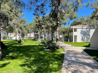 سسارز تمپل د لوکس