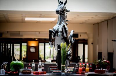 هتل مرکور بردیوکس چاتیو چارترنز