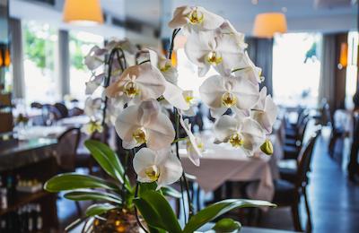 میرامار هتل بای ویندسُر