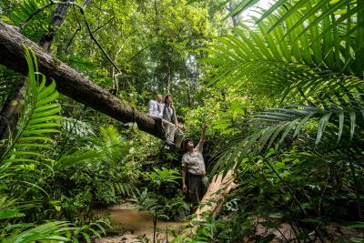 فور اسیسُنز ریزرت لانگکاوی