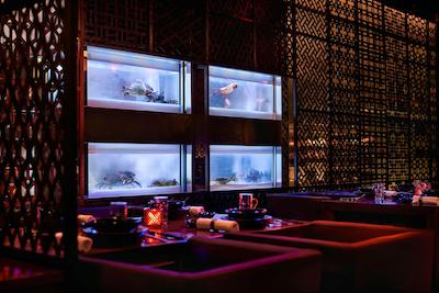 گراند هیات مومبای