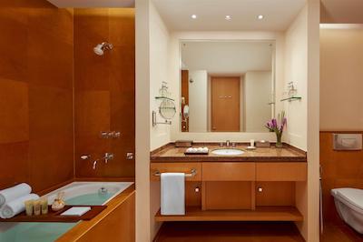 گراند هیات مومبای