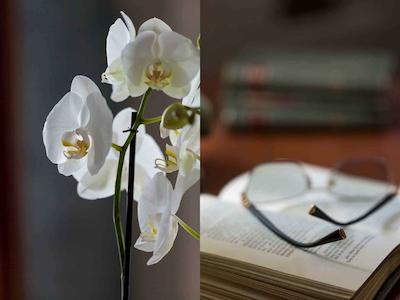 هتل ریال است گئورجز اینترلاکن-مگالری بای سُفیتل