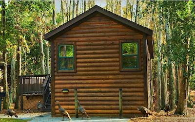 د کمپسیتز ات دیسنیز فرت ویلدرنز ریزرت