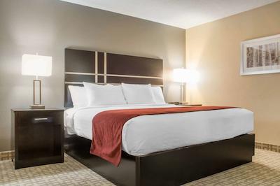 کوالیتی این براسبریج