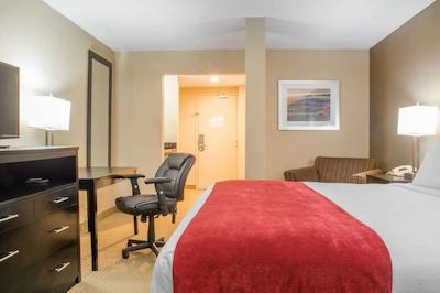 کوالیتی این براسبریج