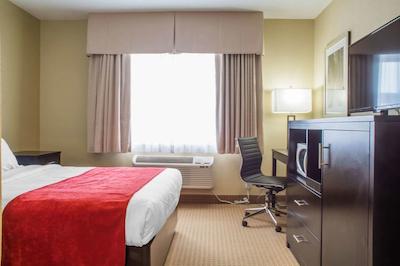 کوالیتی این براسبریج