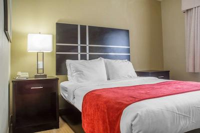 کوالیتی این براسبریج