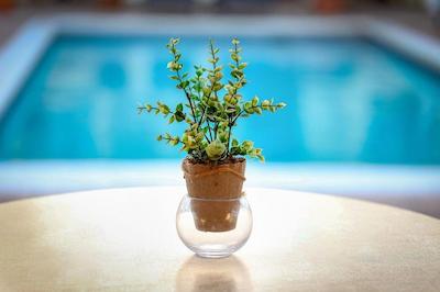 اروبیانا این