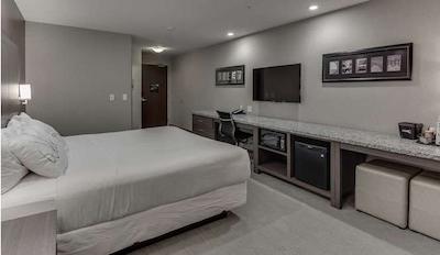 هم این اند سویتز ساسکاتون اسود