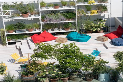 روبای ماری