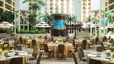 رنیسانس اُرلاندو ریزرت ات اسیورلد