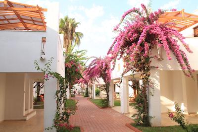 کلوب کاستالیا هالیدی ویلیج