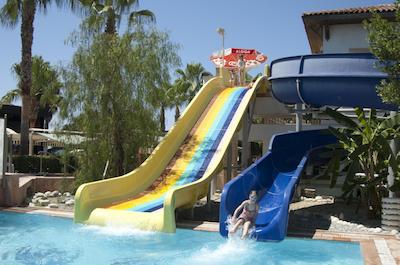 ترندی پالم بیچ