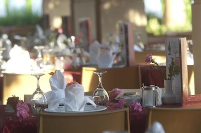 ترندی پالم بیچ