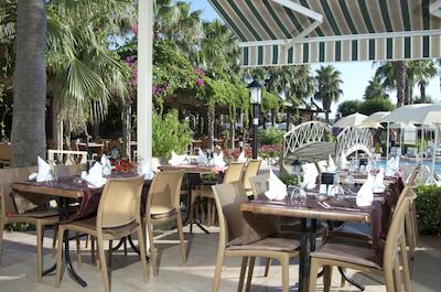 ترندی پالم بیچ