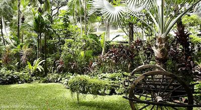 آنانتارا ریورساید بانکوک ریزورت