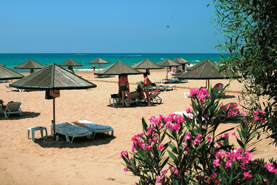 دفن گاردن