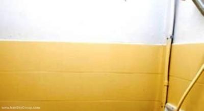 سواسدی ولکام این