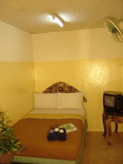 سواسدی ولکام این