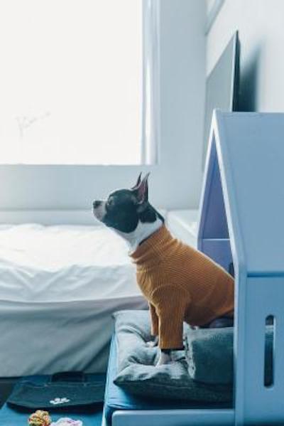 هتل کاپوکسینو