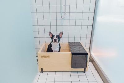 هتل کاپوکسینو