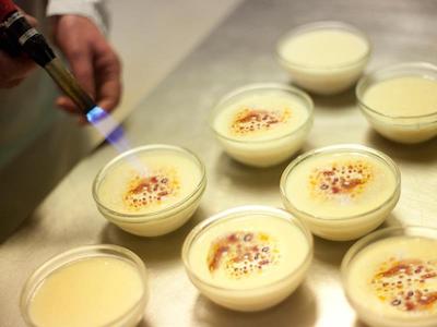 سرکتل هتل ترز لوسز