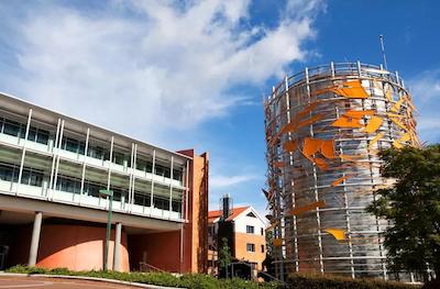 کمو د تریسوری