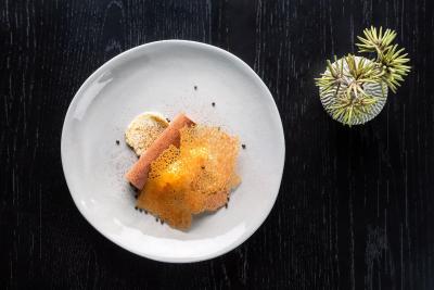 کمو د تریسوری