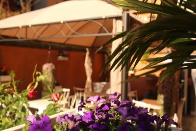 رم اکو سویتز