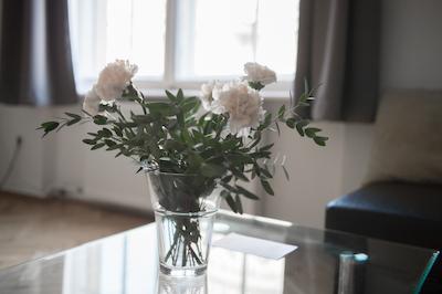 د ماگازین هتل